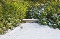 Summer seat